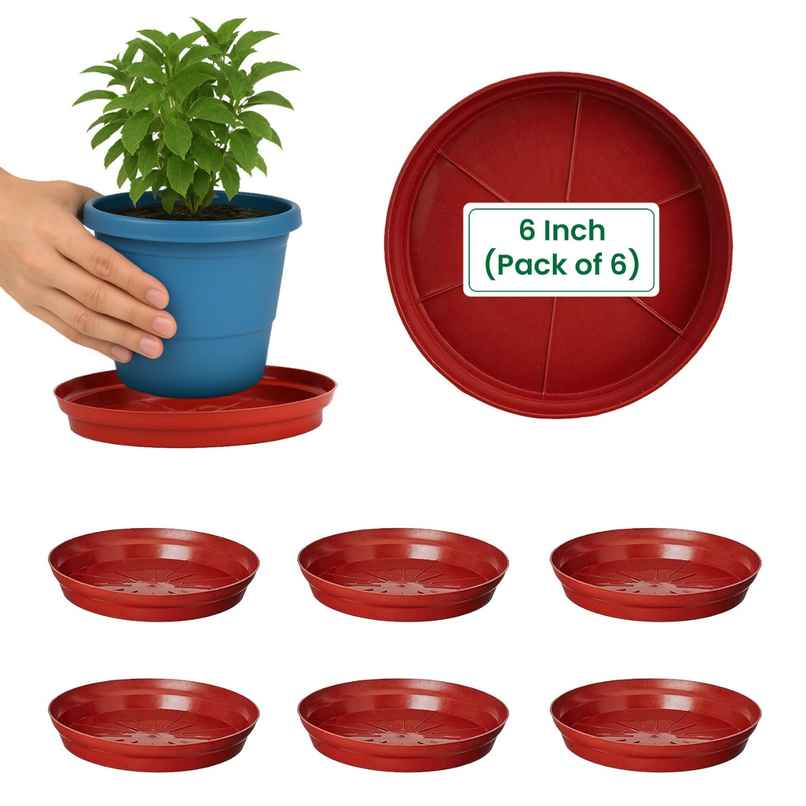 Cinagro 6 Inch Planter Bottom Trays | Durable Plastic | Plant Drip Trays/Saucer