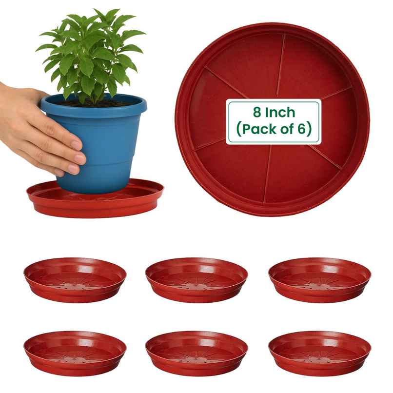Cinagro 8 Inch Planter Bottom Trays | Durable Plastic | Plant Drip Trays/Saucer