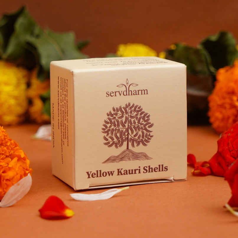 Kaudi Shells | ServDharm