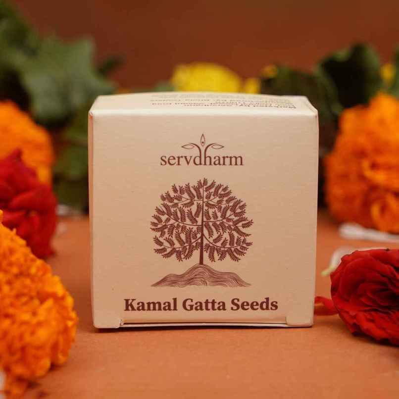 Kamal Gatta Seeds | 11 pcs | ServDharm