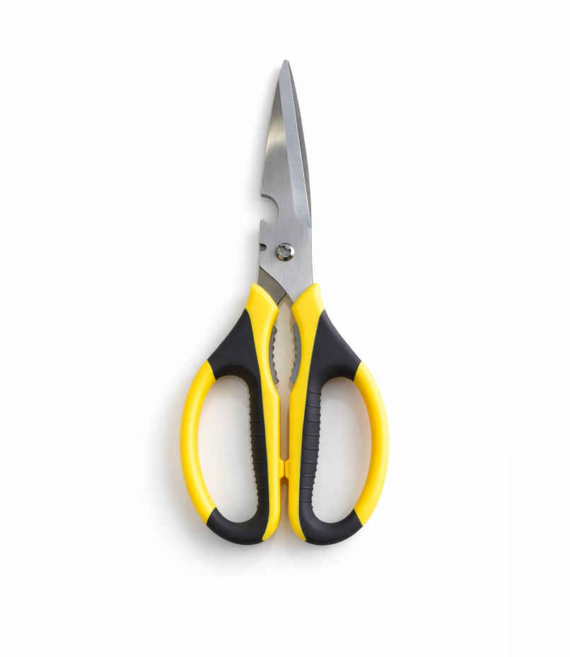 Petals All Purpose Multifunctional Kitchen/Household/Garden Scissor | 21 cm