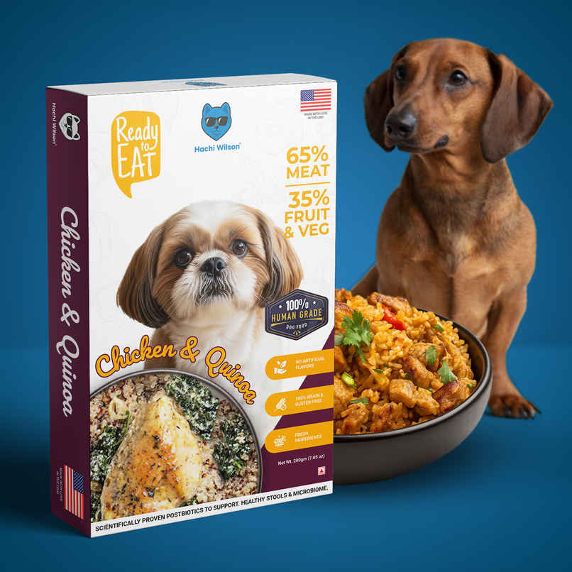 Hachi Wilson Fresh Wholesome Dog Food | Super Healthy food with Chicken and Quinoa Flavour