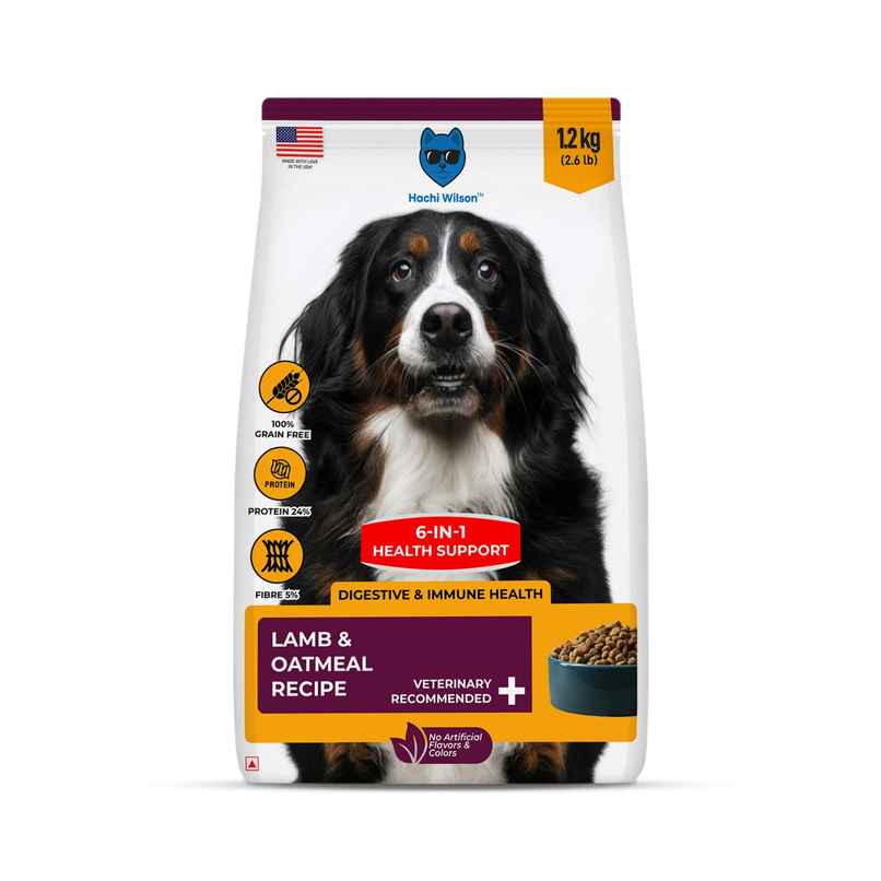 Hachi Wilson Premium USA-Made Dog Food - Lamb & Oatmeal for Stronger, Healthier Dogs