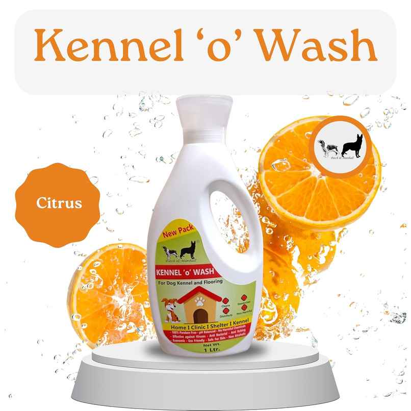 Patch & Marshall Pet Kennel Wash
