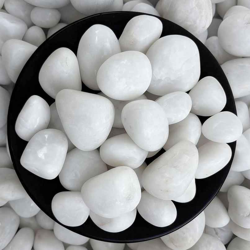 Foodie Puppies White Polished Pebbles Glossy Stones for Aquarium and Fish Tank 2Kg