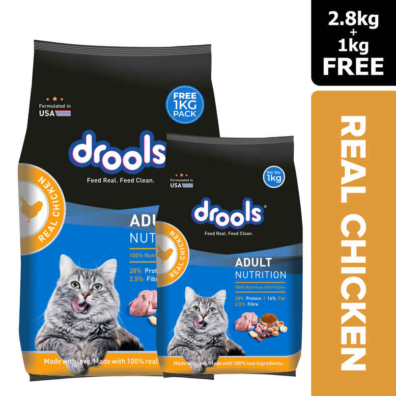 Drools Adult Dry Cat Food | Real Chicken