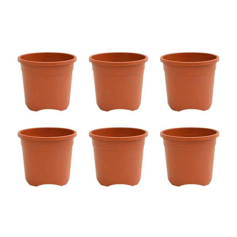 Ugaoo Gardening Plastic Pots For Plants (6 Inch Brown Color Set Of 6 ) Plant Container Set Ugaoo Gardening Plastic Pots For Plants (6 Inch Brown Color Set Of 6 ) Plant Container Set