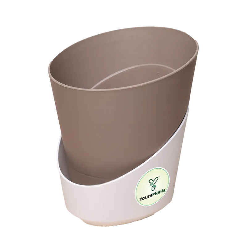 Yoursplants Atlantis - 4 Inch Mocca Pot | Pack Of 1 Yoursplants Atlantis - 4 Inch Mocca Pot | Pack Of 1