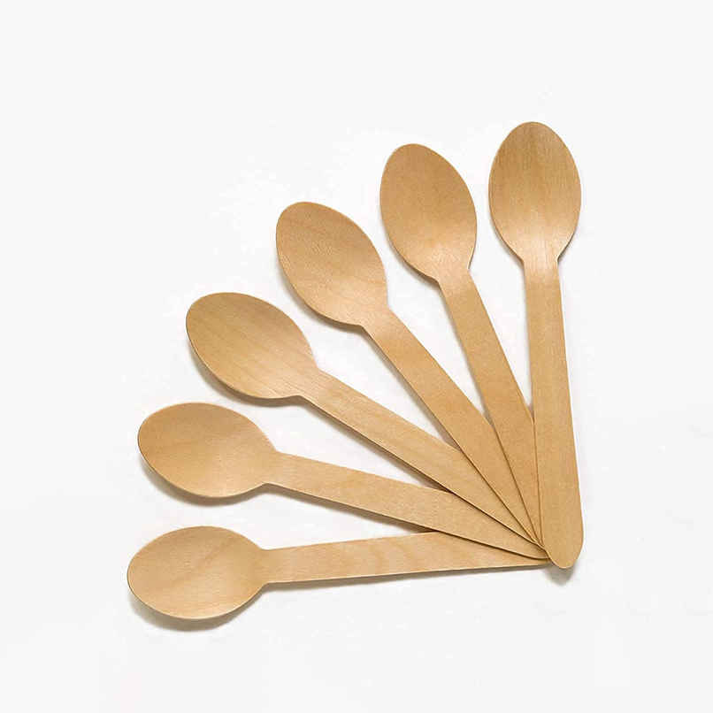 Wood Disposable Spoon | 16 cm