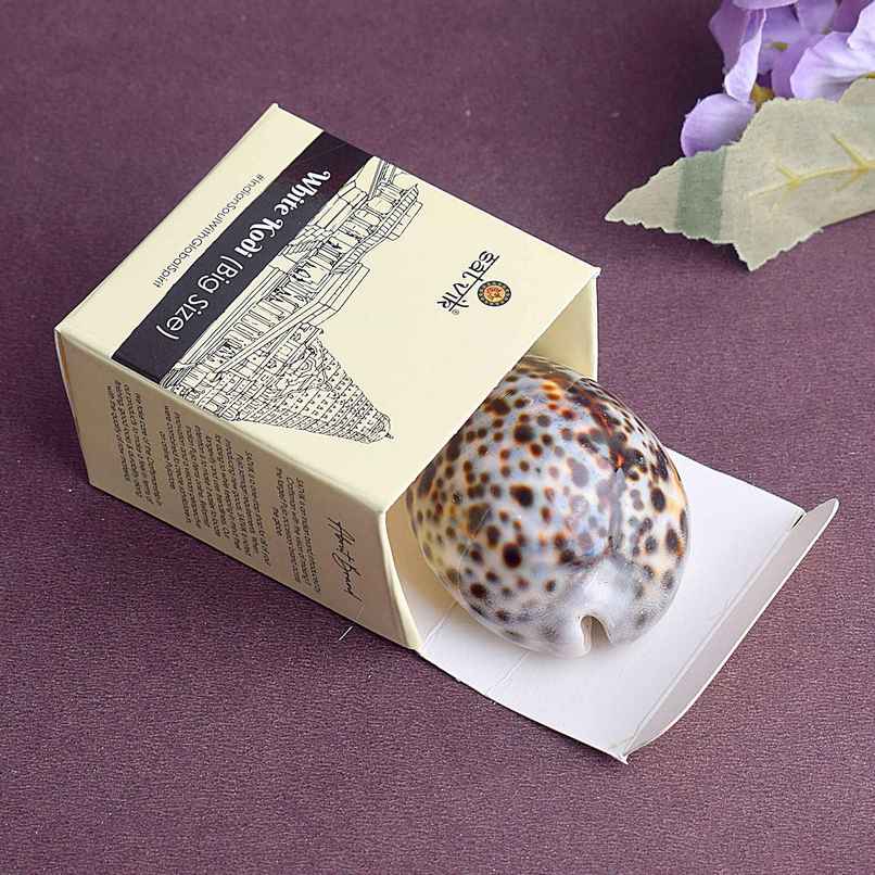 Big Kaudi (Cowrie Shell) | Symbol of Maa Lakshmi | Satvik