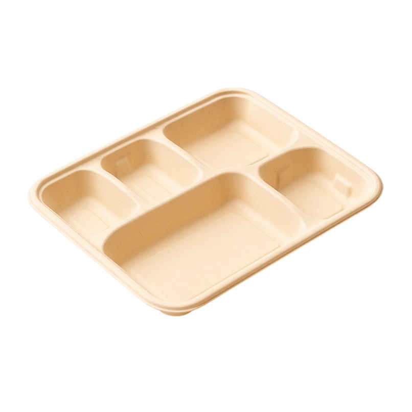 Disposable Plate | Meal Tray | 5 Compartment | Careswipe Disposable Plate | Meal Tray | 5 Compartment | Careswipe