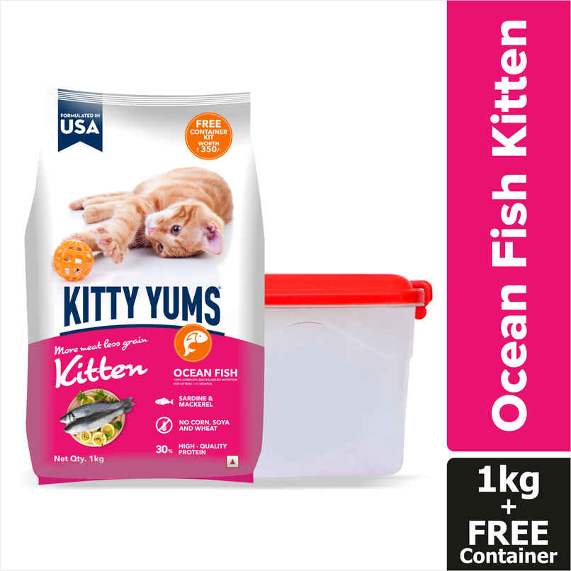 Kitty Yums Kitten Dry Cat Food Ocean Fish with Free Container Kitty Yums Kitten Dry Cat Food Ocean Fish with Free Container