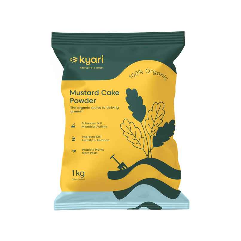 Kyari Mustard Cake Powder Kyari Mustard Cake Powder