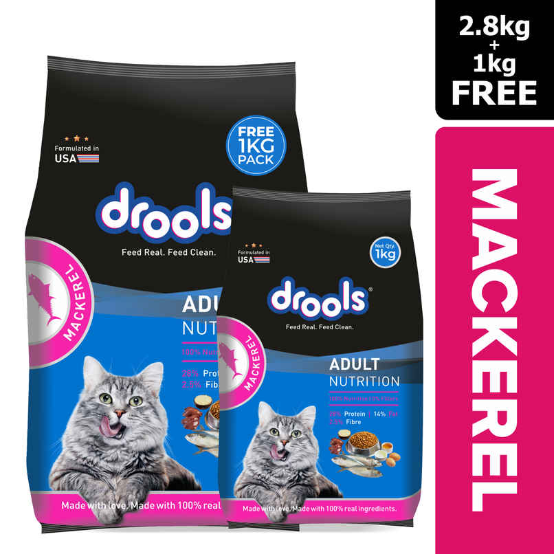 Drools Adult Dry Cat Food | Mackerel