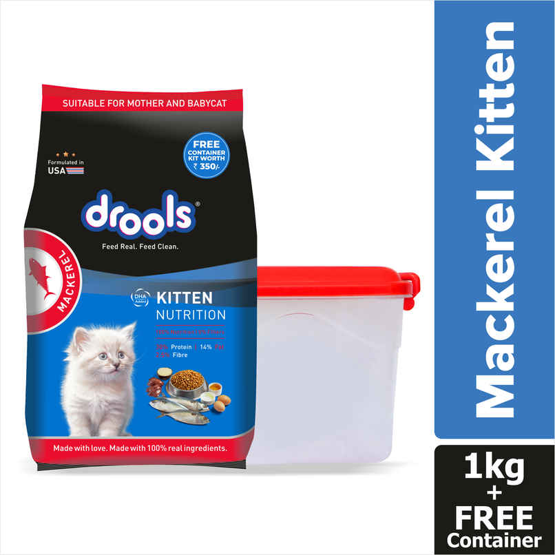 Drools Kitten | 1-12 Months Dry Cat Food, Mackerl, With Free Container Drools Kitten | 1-12 Months Dry Cat Food, Mackerl, With Free Container