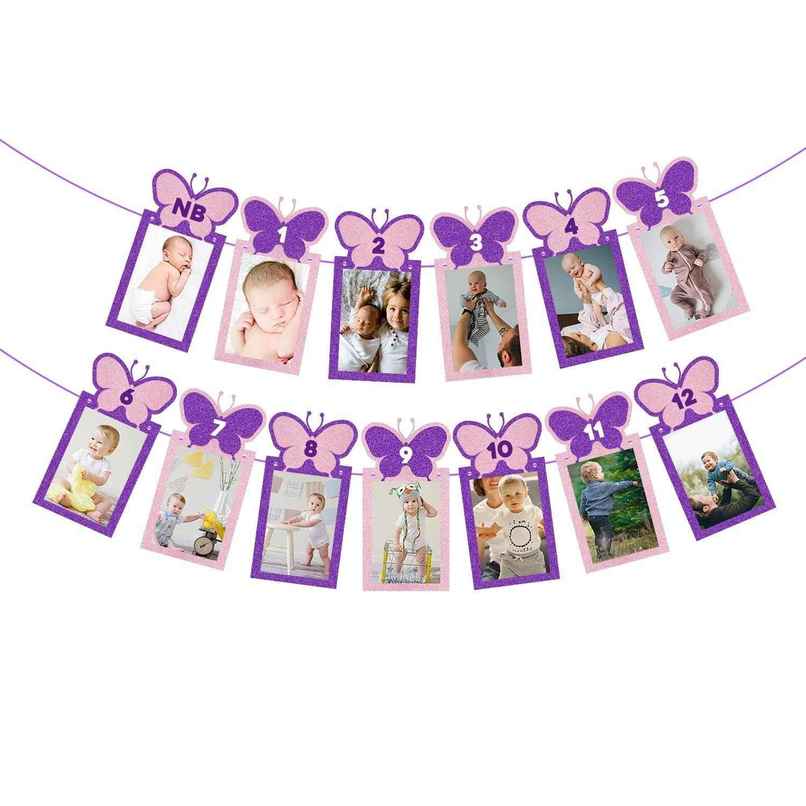 12 Months Photo Banner For Birthday | Butterfly Theme | Party Propz