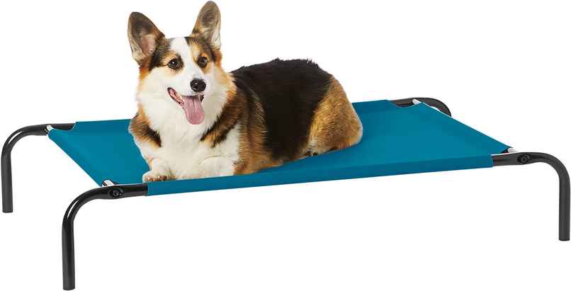Nootie Elevated Bed For Dogs and Cats