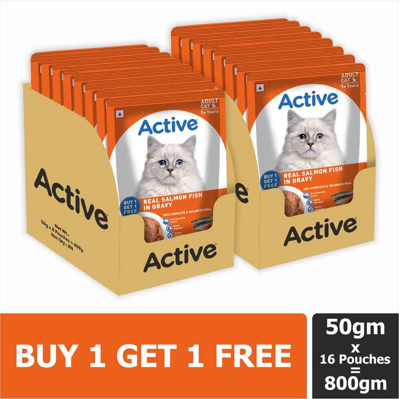 Active Adult Cat Wet Food Real Salmon in Gravy Active Adult Cat Wet Food Real Salmon in Gravy