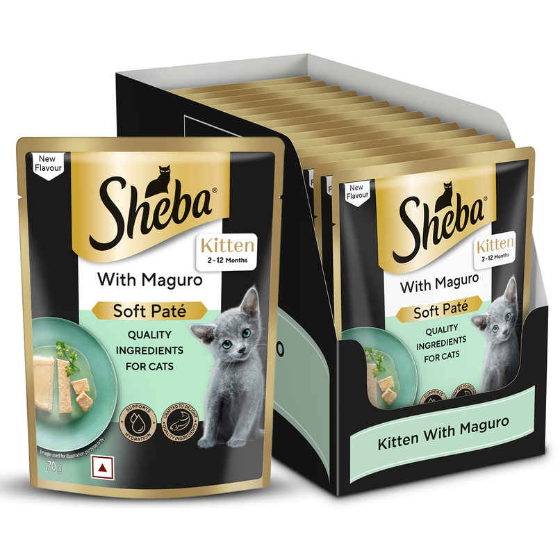Sheba Pate Kitten Wet Cat Food | Maguro