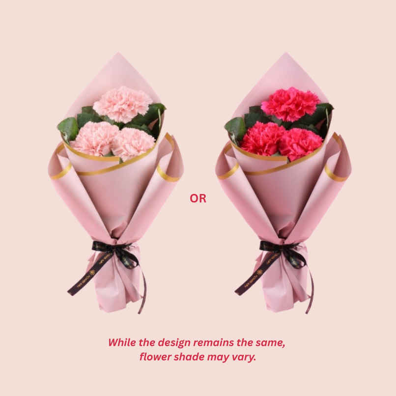 FlowerAura 3 Pink Carnations Bouquet in Pink Premium Paper