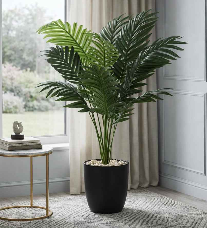 CasaCraft Pepperfry Artificial Areca Palm Natural Looking Indoor Plant 12 Leaves for Home Decor CasaCraft Pepperfry Artificial Areca Palm Natural Looking Indoor Plant 12 Leaves for Home Decor