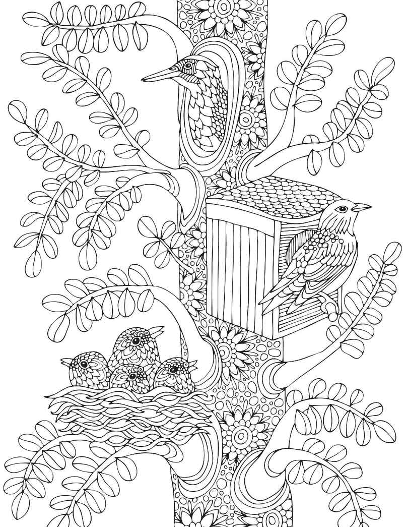 Dreamland Nature Adult Colouring Book