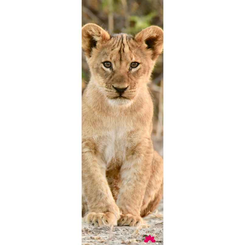 House Of Festivals Bookmark - Design 111