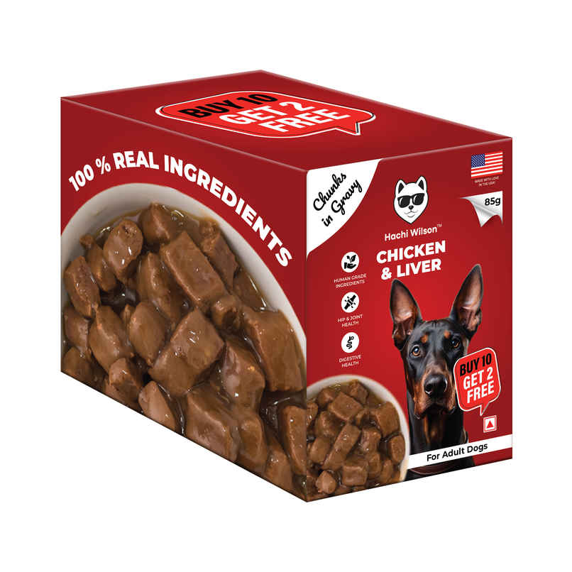 Hachi Wilson Premium Chicken & Liver chucks in gravy