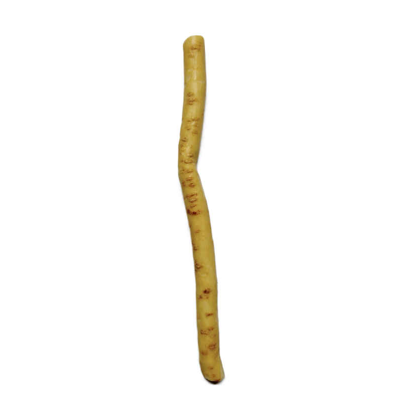Natural Miswak Stick | B-NET