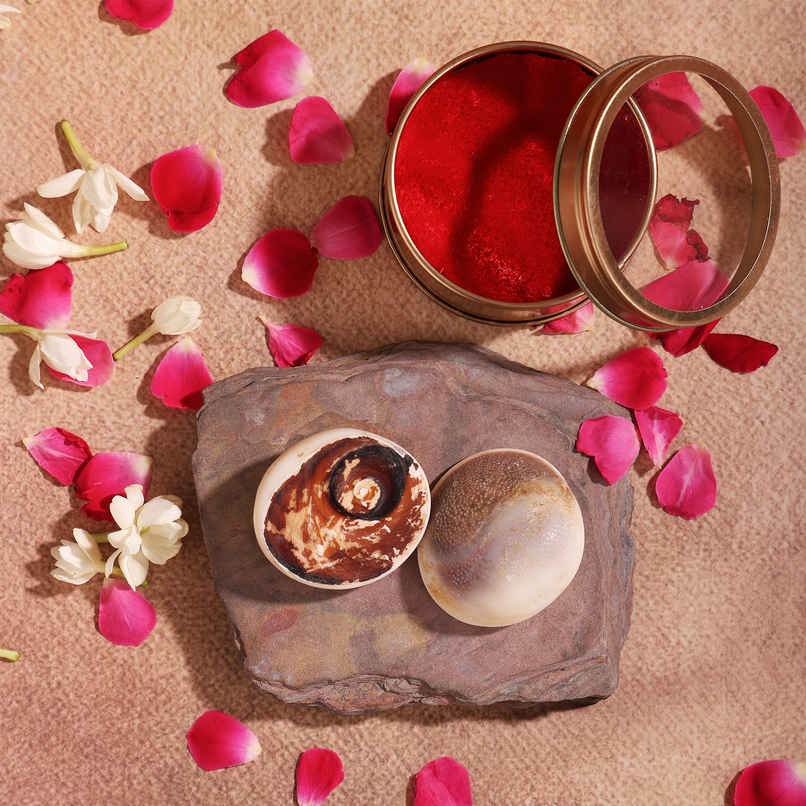 Gomti Chakra | Symbol of Maa Laxmi | Procured from Sacred Gomti River | Pujashree