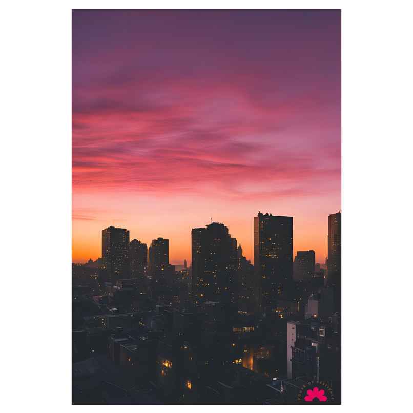 House of Festivals | Posters | Design 115