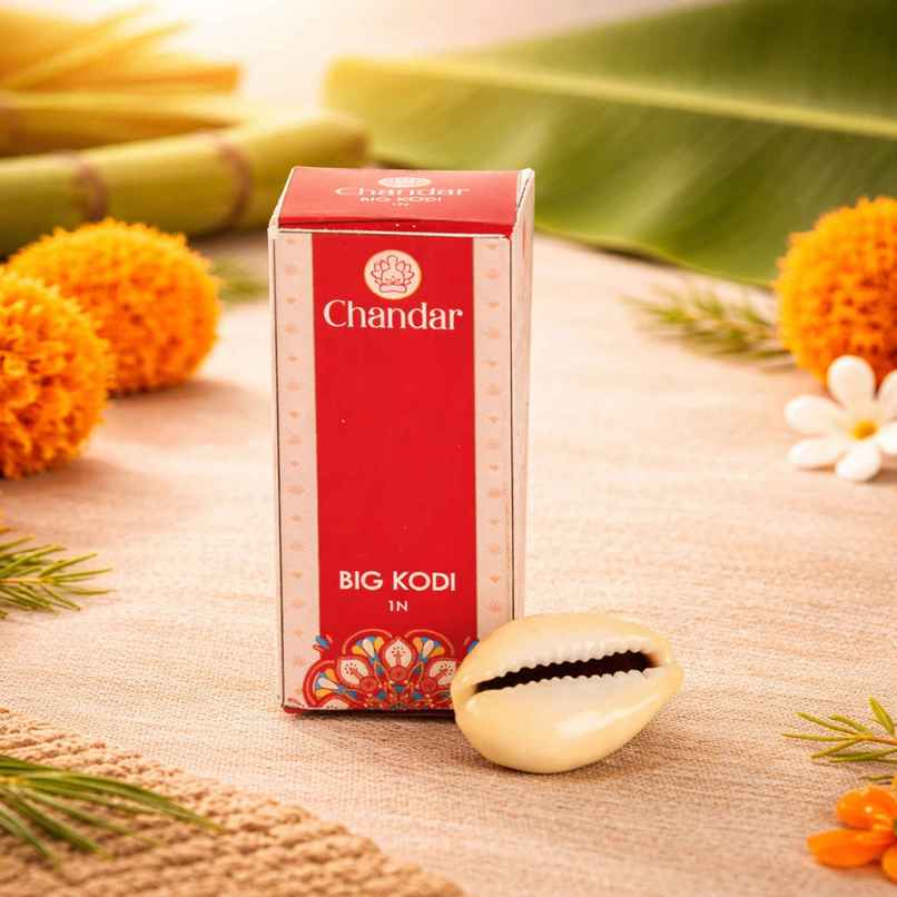 Big Kodi | Traditional & Authentic | Chandar