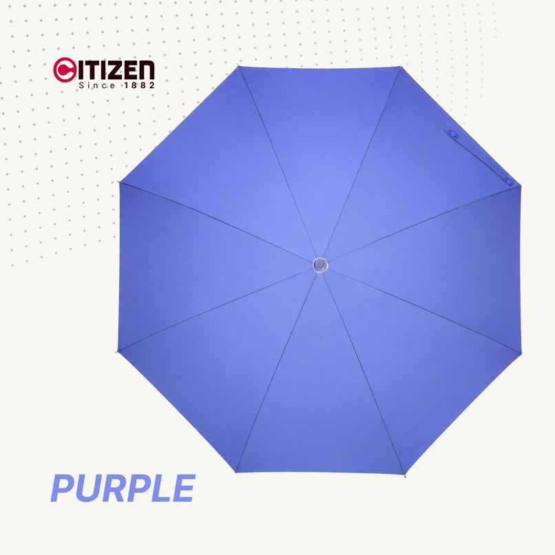 Citizen 2 Fold 21 Inch Purple Mono Silver Umbrella