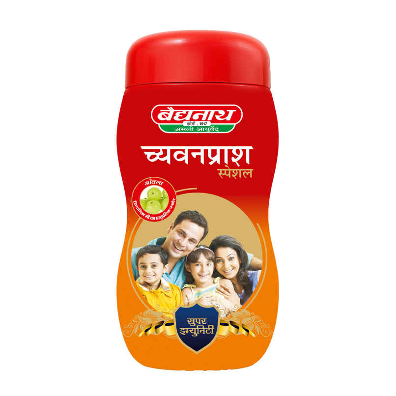 Baidyanath Chyawanprash Special 500g