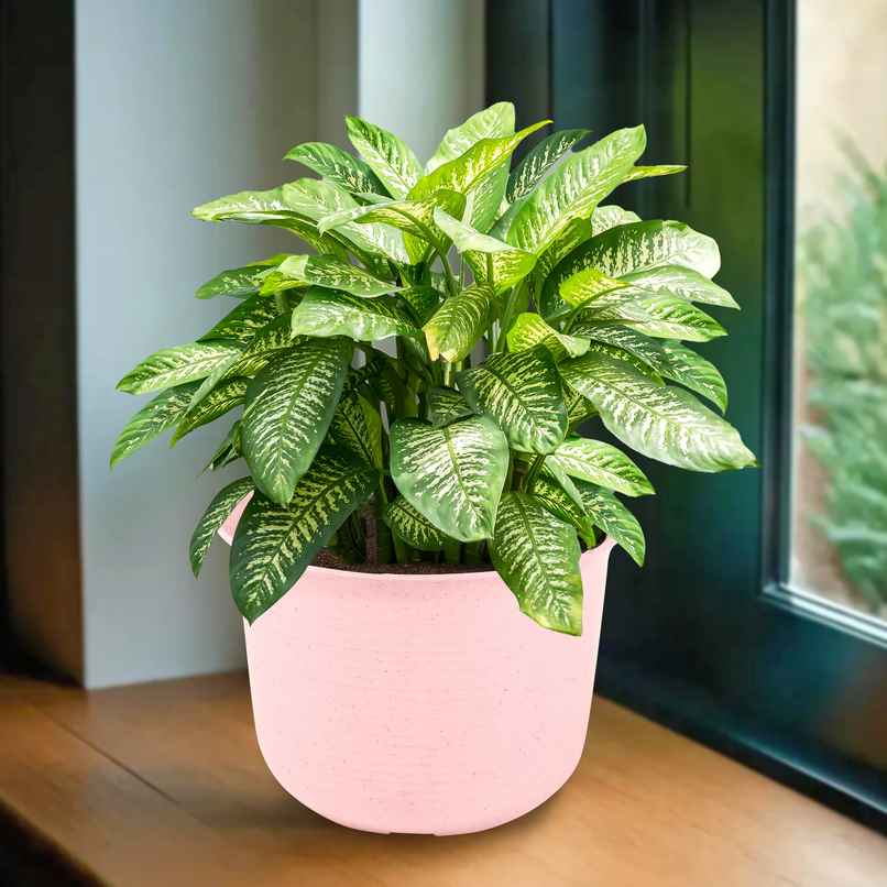 Kuber Industries 10 Inch Marble Sawera Design Flower Plant Pot | Pots for Garden Decor | Pink