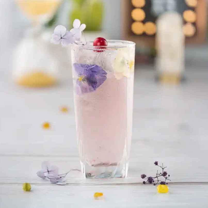 Ascot Highball Glass Set | Elegant | Durable, Dishwasher Safe | Clear | Set of 6 | 330 ml | Luminarc