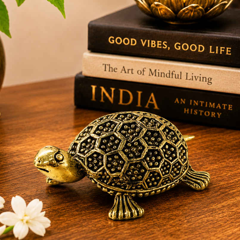Pure Brass Tortoise | Estoria Collective Pure Brass Tortoise | Estoria Collective
