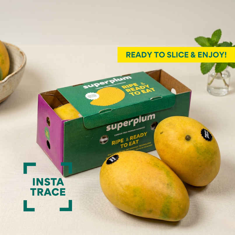 Superplum Ripe & Ready Banganapalli Mango Superplum Ripe & Ready Banganapalli Mango