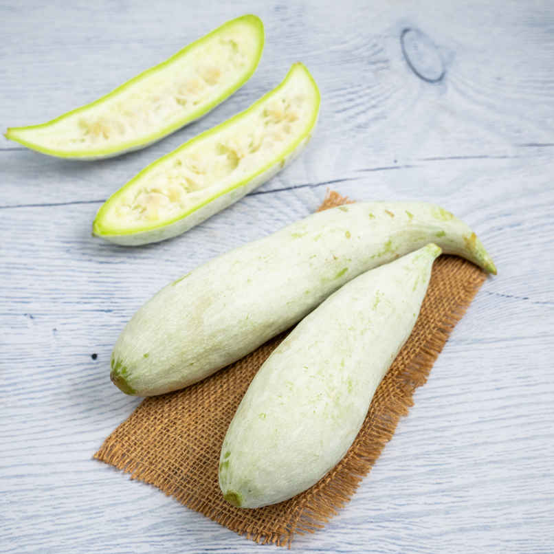 Snake Gourd