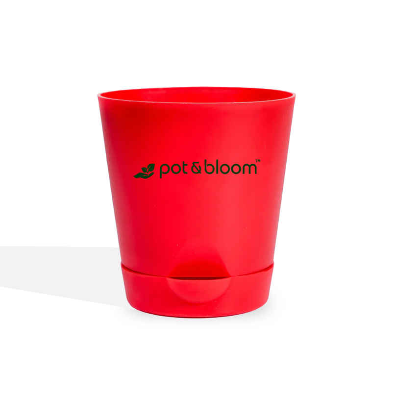 Pot And Bloom 4 Inch Self Watering Pot - Red Pot And Bloom 4 Inch Self Watering Pot - Red