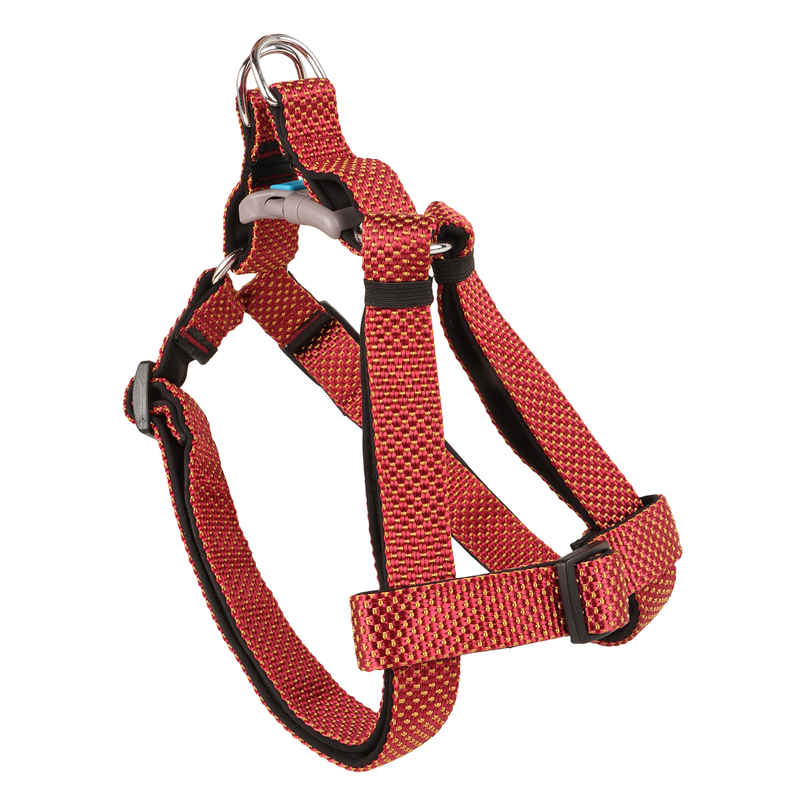 BearHugs Essential Step In Dog Harness Padded with Lock | Large - 25 mm