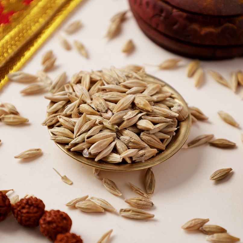 Barley Seeds | Jau | Happy Mail