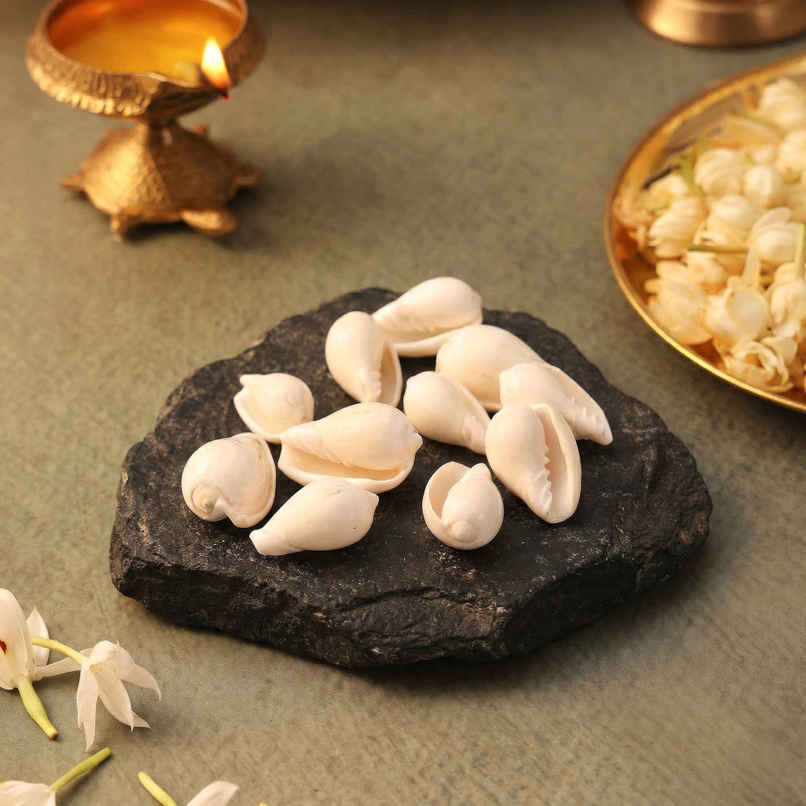 Vishnu Kauri | Symbol of Bhagwan Vishnu | Brings Spiritual Growth and Peace | Pujashree