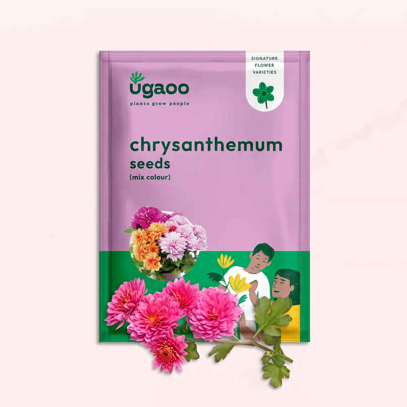 Ugaoo Chrysanthemum Mix Seeds