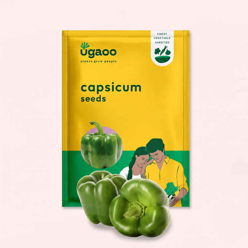 Ugaoo Capsicum Seeds Ugaoo Capsicum Seeds