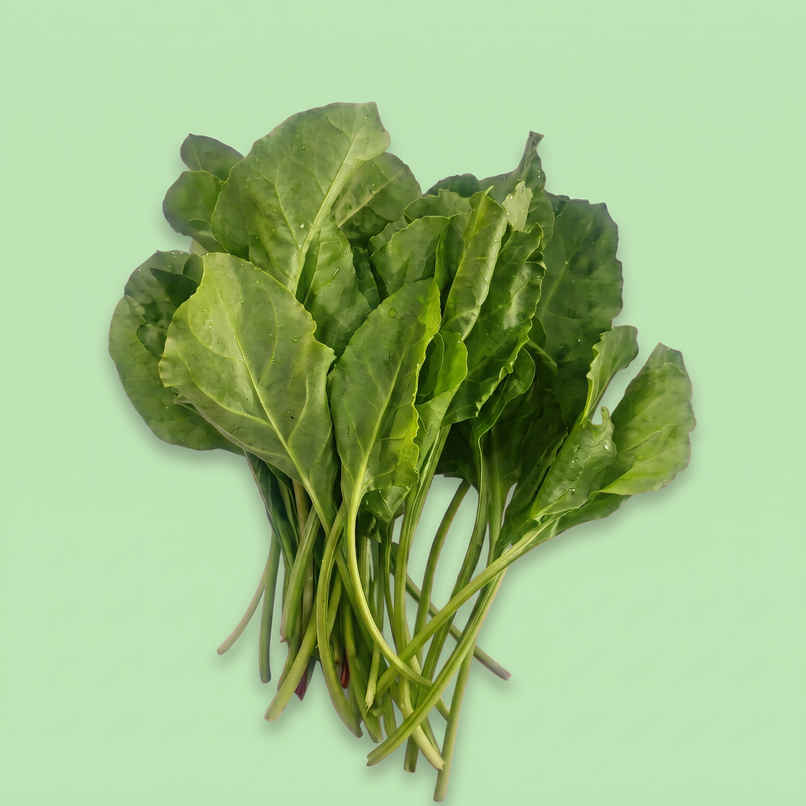 Bloom Spinach