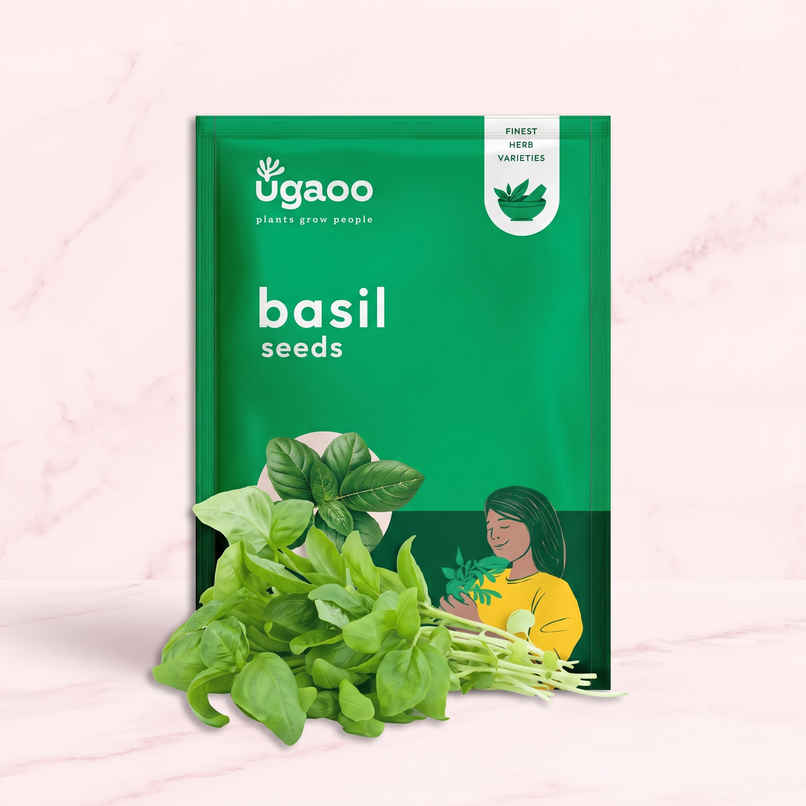 Ugaoo Italian Basil Seeds Ugaoo Italian Basil Seeds