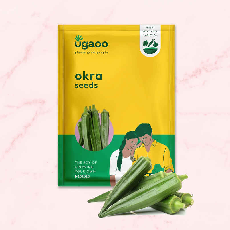 Ugaoo Okra Seeds (Lady Finger) Ugaoo Okra Seeds (Lady Finger)