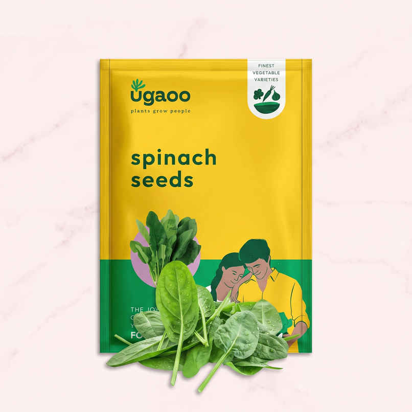 Ugaoo Spinach Seeds (Palak) Ugaoo Spinach Seeds (Palak)
