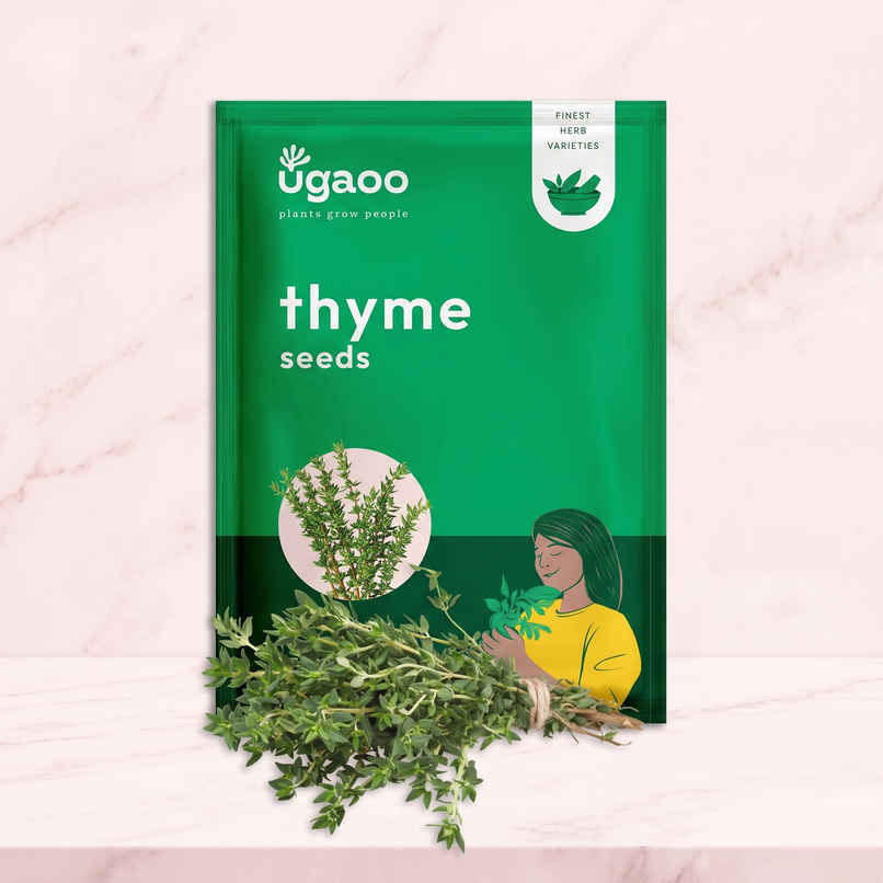 Ugaoo Thyme Seeds